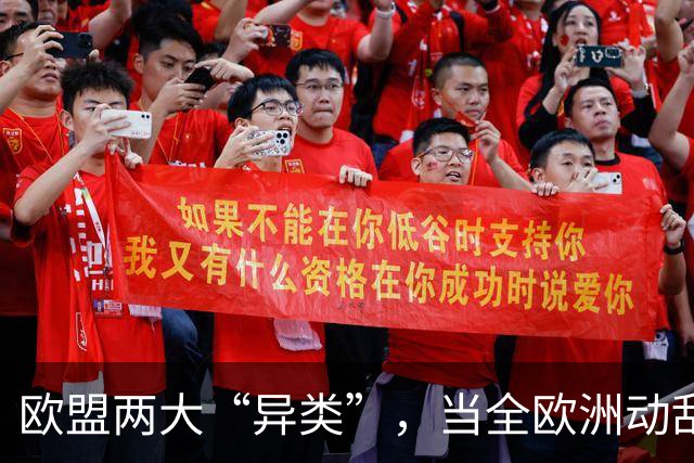 欧盟两大“异类”，当全欧洲动乱时，靠中国走上“捷径”躲过一劫